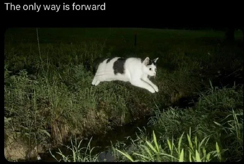 The Only Way Is Forward