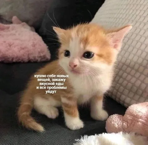 Куплю новых вещей и всё пройдет
