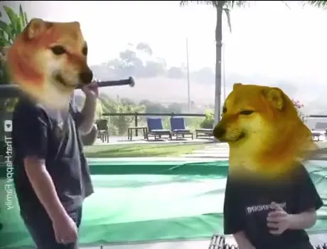 Доге дудит в лицо