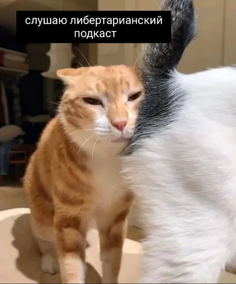 Слушаю либертарианский подкаст