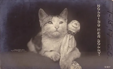 Goldigger Dolly Vintage Cat