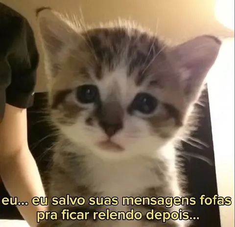 Salvo suas mensagens fofas
