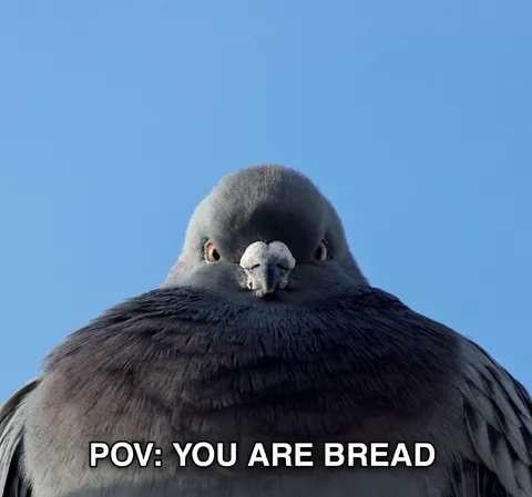 POV: You Are Bread