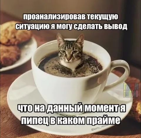 Кот в кофе пипец в каком прайме