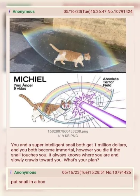 Put Snail in a Box