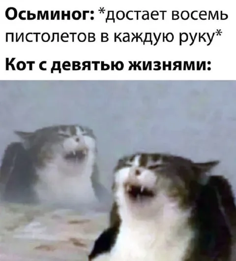 Кот с девятью жизнями смеётся