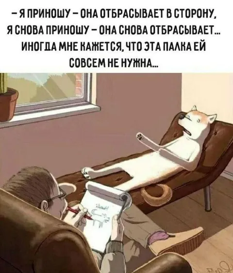 Кошка отбрасывает палку