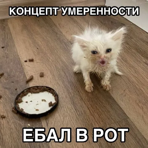 Концепт умеренности провален