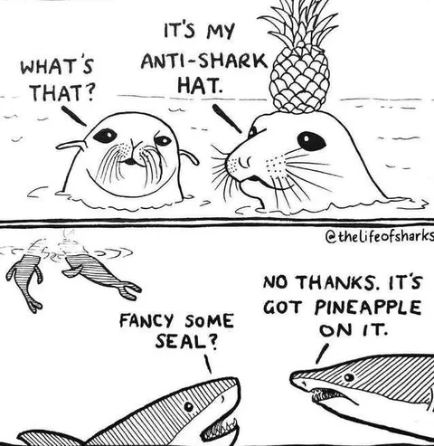 Seal's Anti-Shark Hat