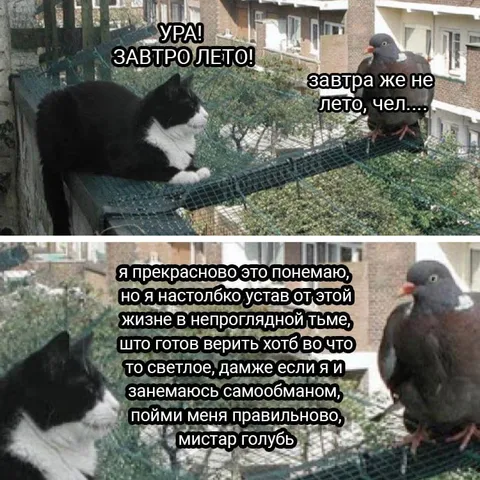 Завтра лето, чел
