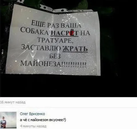 Собака насрёт на тротуаре