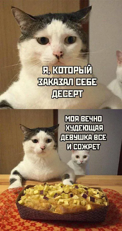 Десерт и вечно худеющая девушка