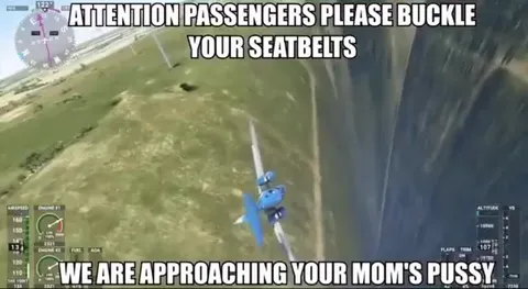 Approaching Your Mom's Pussy