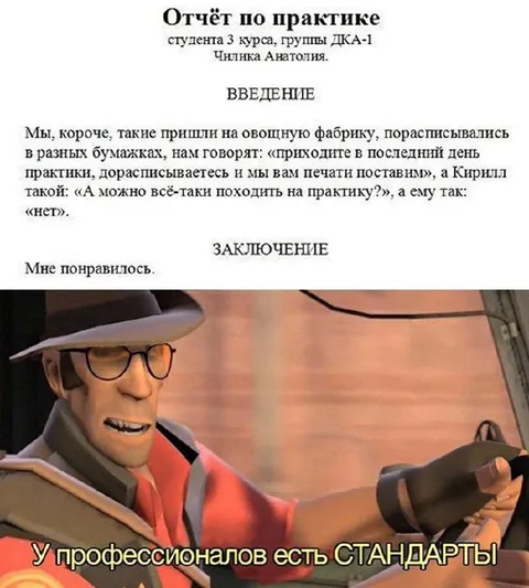 Отчёт по практике профессионала