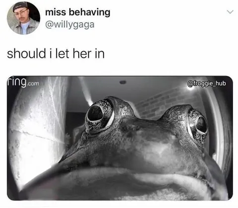 Should I Let Her In Frog