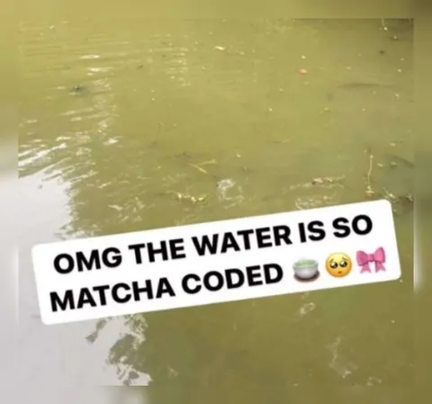 Matcha Coded Water