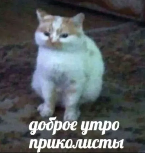 Доброе утро приколисты