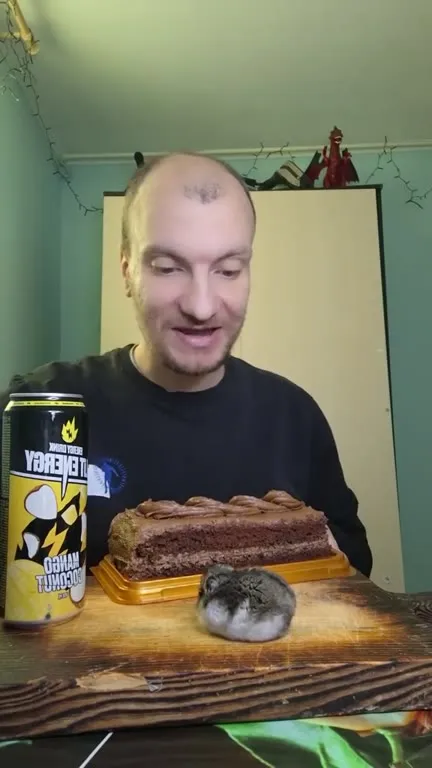 Хомяк просит кусочек торта