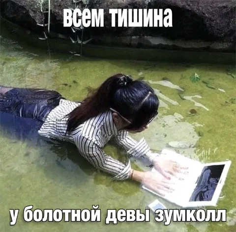 Тишина на зумколле