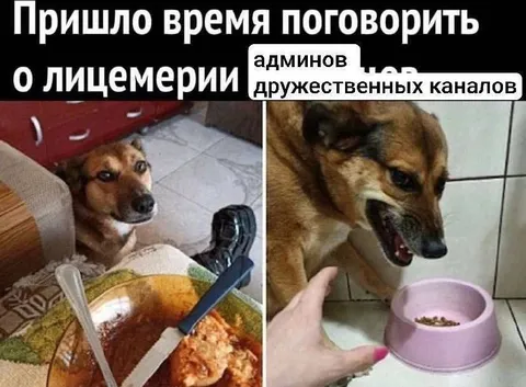Лицемерие админов дружественных каналов