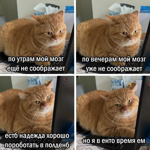 Мозг утром и вечером