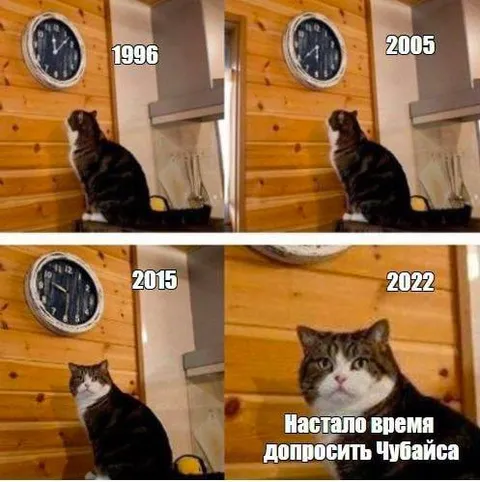 Настало время допросить Чубайса