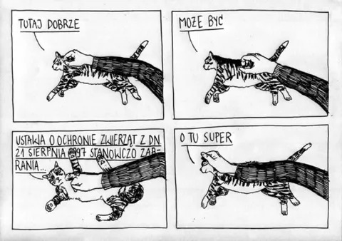 Kot głaskany wbrew ustawie