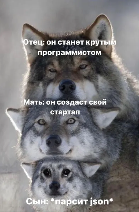 Сын парсит JSON