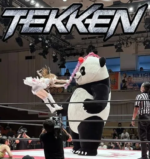 Tekken Panda Wrestling Match