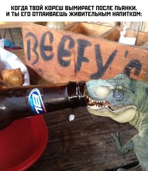 Крепыш после пьянки