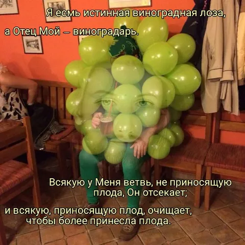 Истинная виноградная лоза