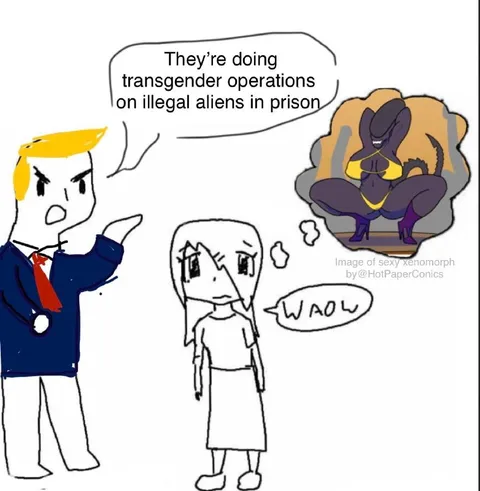 Transgender Operations in Prison