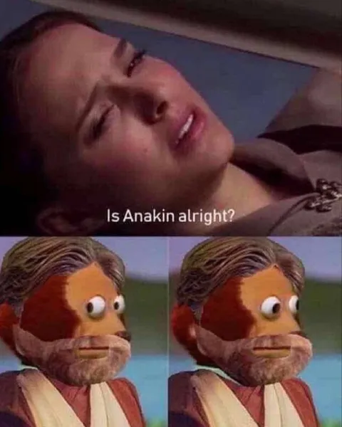 Is Anakin Alright? Puppet Reaction