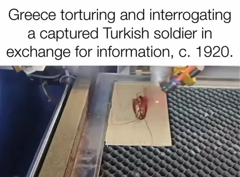 Greek Torture Interrogation of a Cockroach