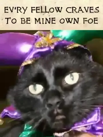 Medieval Cats Beware Thyself