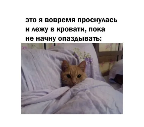Проснулась и лежу в кровати