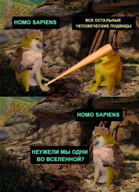 Homo sapiens и остальные подвиды