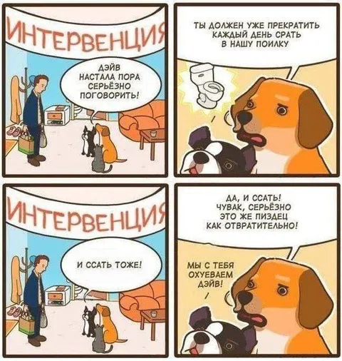 Интервенция из-за поилки