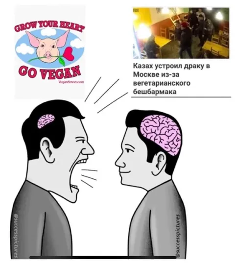 Драка из-за вегетарианского бешбармака