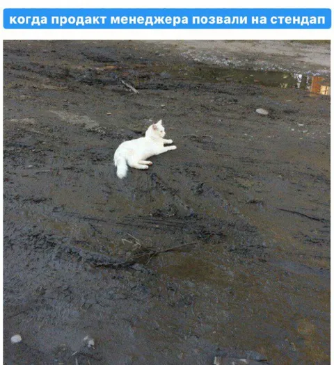 Продакт-менеджера позвали на стендап