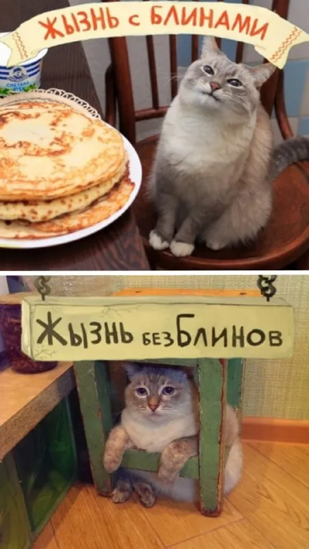 Жизнь с блинами и без