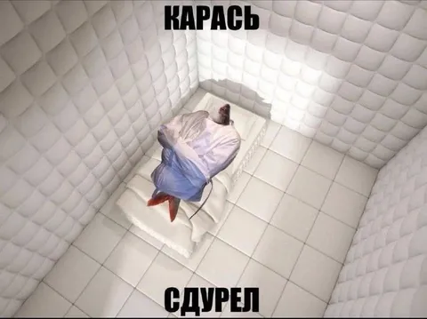 Карась в белой комнате
