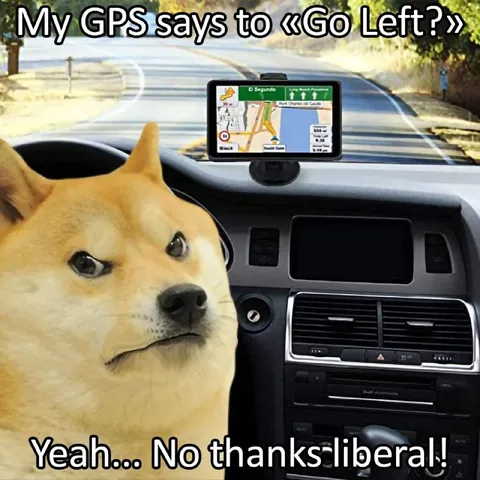 Doge Rejects GPS Directions