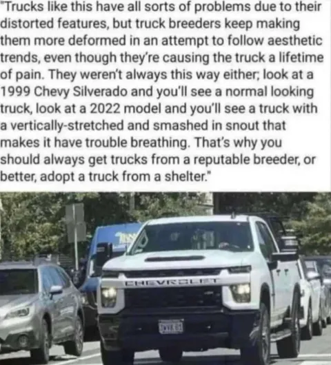 Truck Breeding Problems