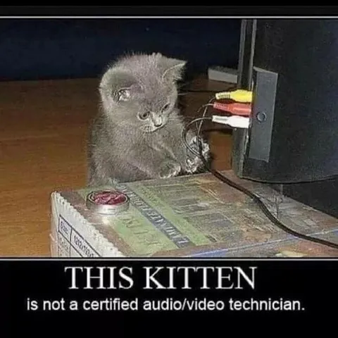 Kitten Audio Technician