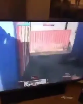 Хомяк устроил игровой фейл