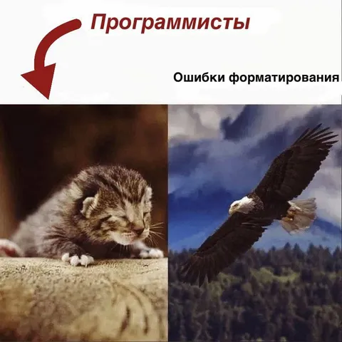 Программисты и ошибки форматирования
