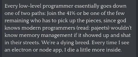 Low-Level Programmers Are a Dying Breed