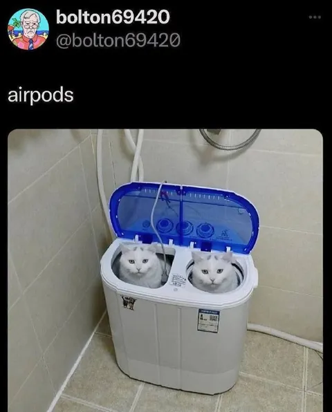 Cats in a Washing Machine