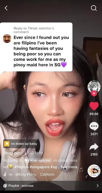 Filipino Maid Fantasy Comment